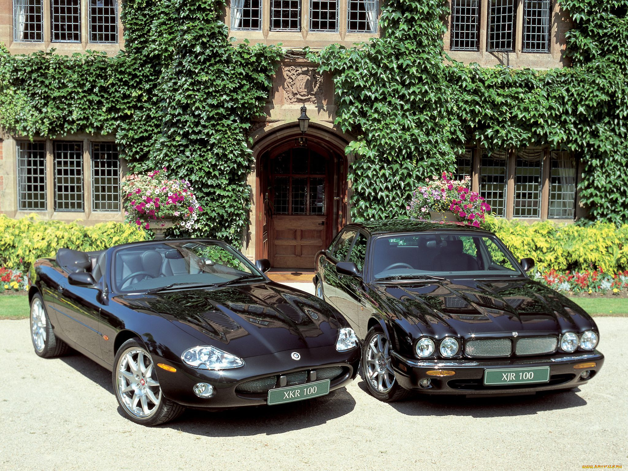 , jaguar